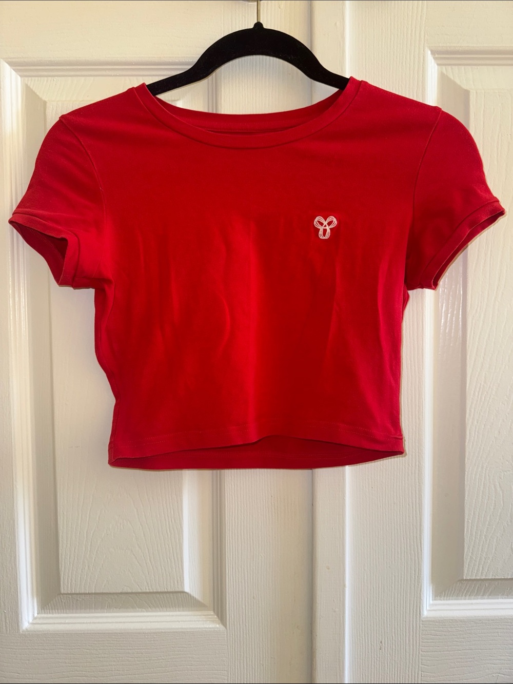 NWOT Aritzia TNA Vintage Red Women's Crop Tee with Embroidered Logo